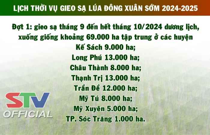 Quản lý dịch hại và chăm sóc hiệu quả lúa Đông Xuân 2024 - 2025